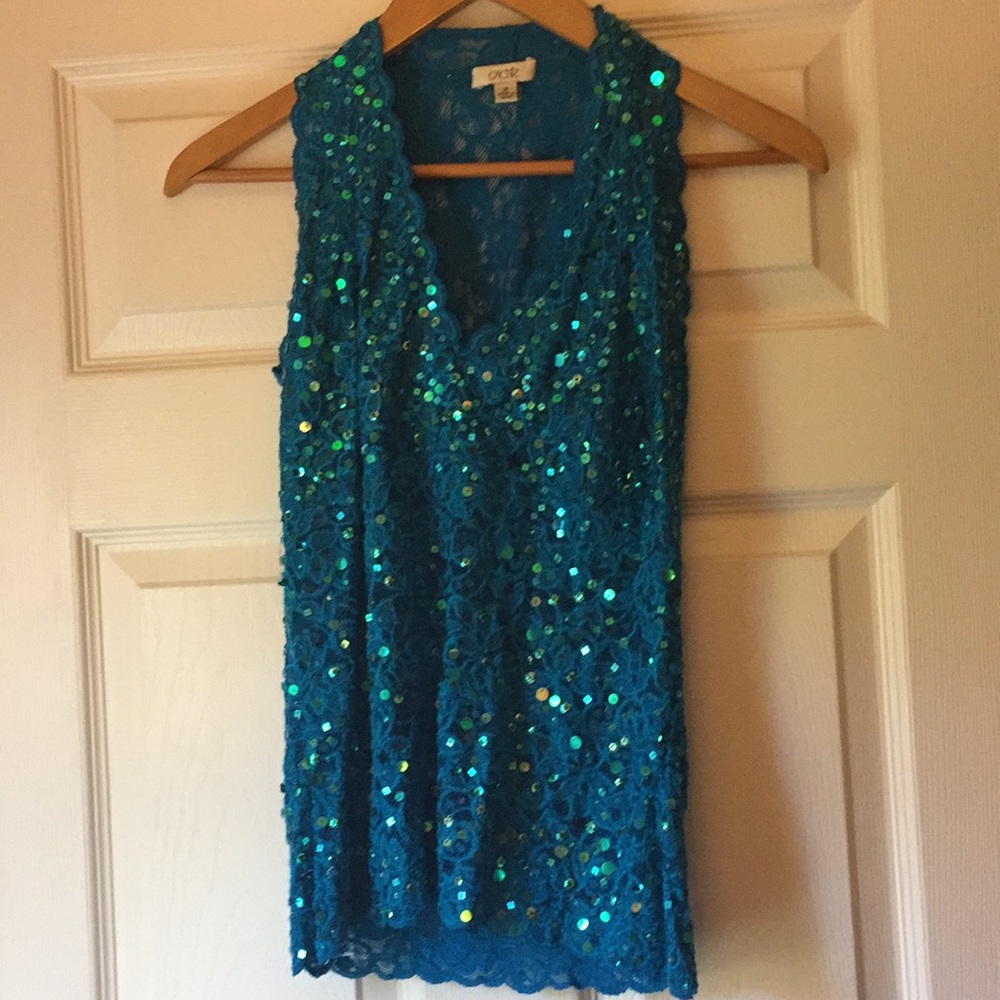 Beautiful Blue shimmery top size M
